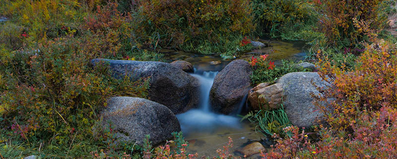 mongolia autumn photography